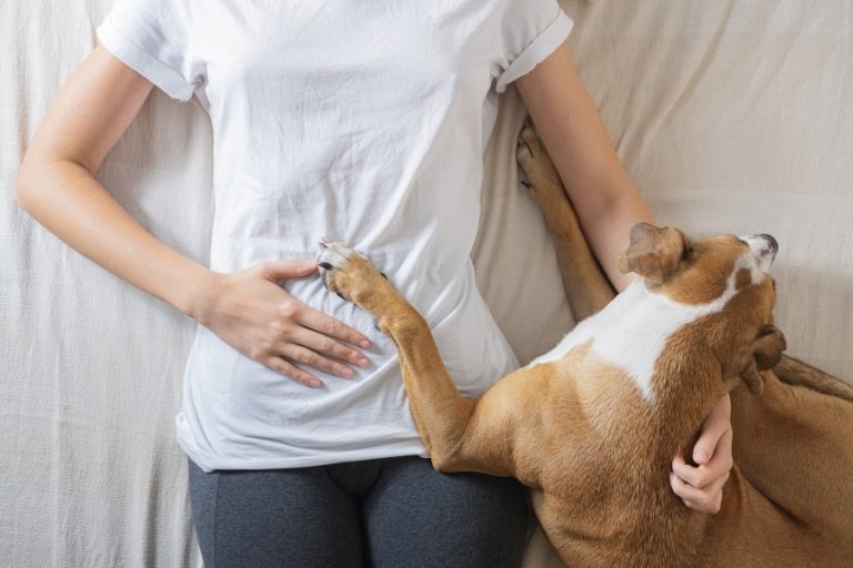 Best Type Of Assistance Animal For Your Needs