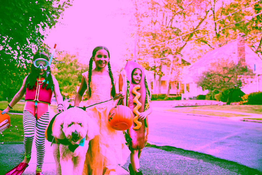 Trick-Or-Treating With Your Dog: Halloween Pet Etiquette