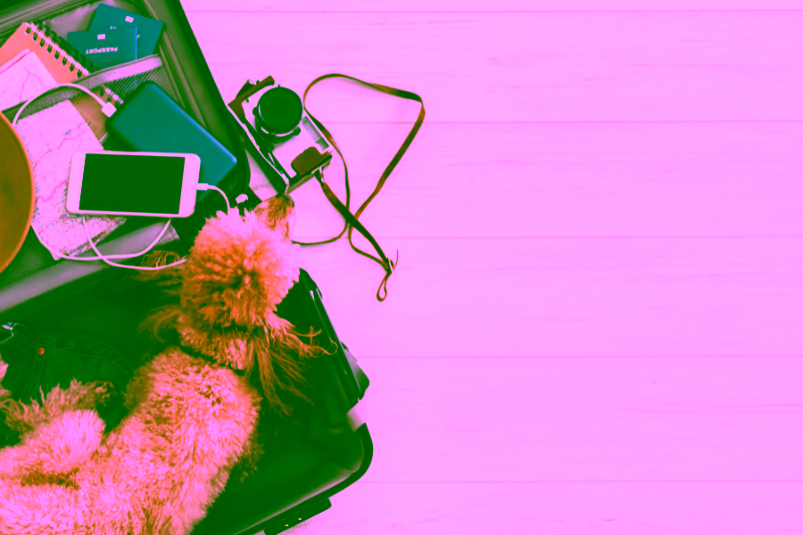 A Complete Guide to Traveling With Your Dog