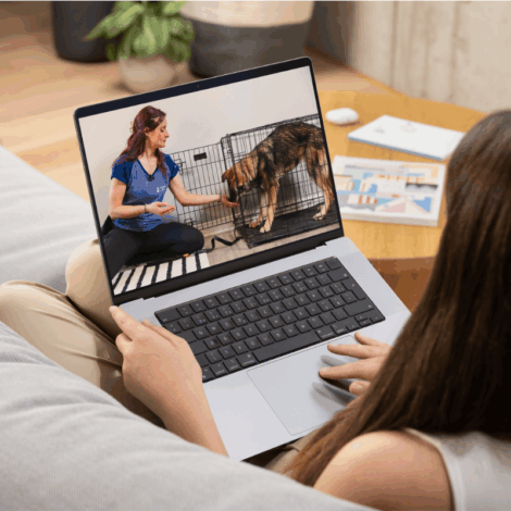 iTrain Academy - Train anywhere, anytime!