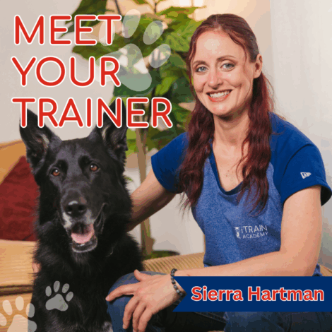 Meet Your Trainer: Sierra Hartman