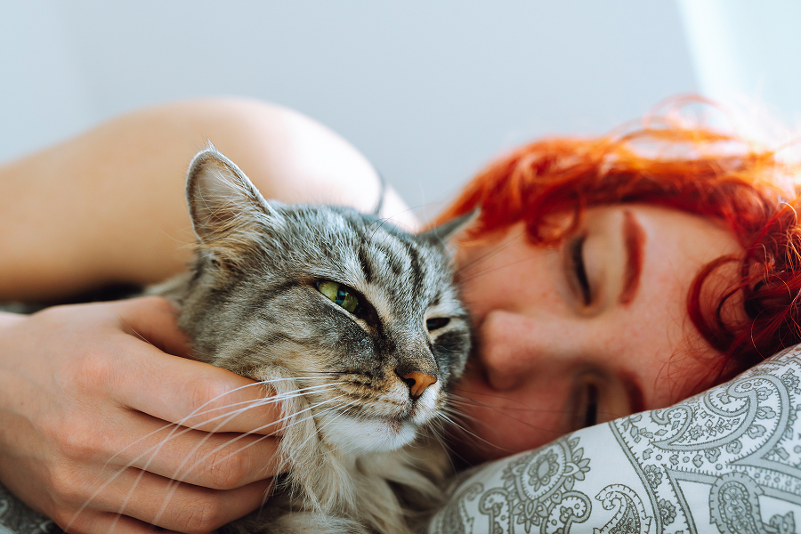 Cat and human