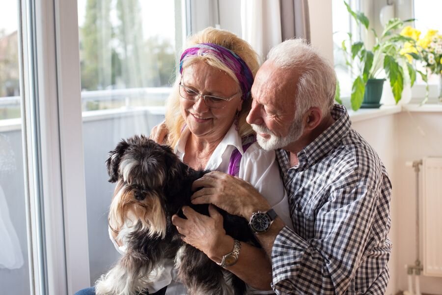 Service Dogs for Senior Cover