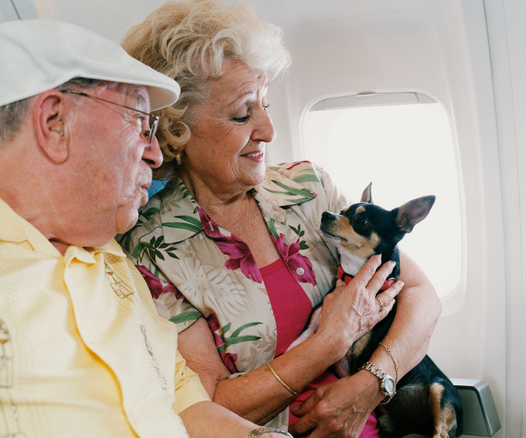 2023 American Airlines Service Animal Policy