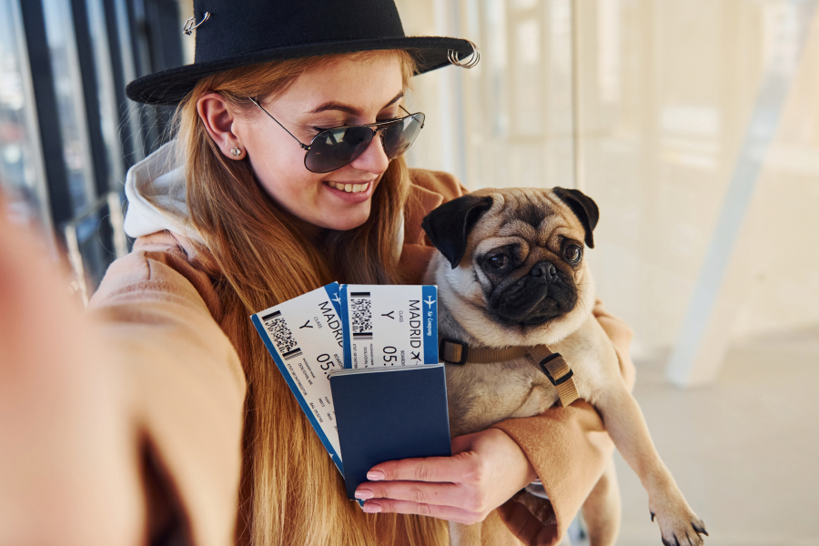 Spirit Airlines Service Animal Policy Cover Photo