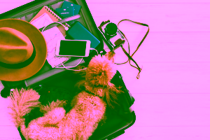 Delta Airlines Service Animal Policy Cover Photo