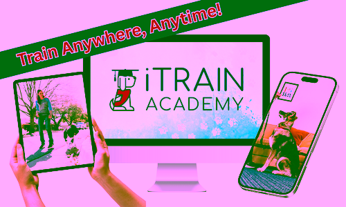 iTrain Academy Service Dog Training - Monthly Subscription