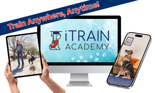 iTrain Academy Service Dog Training - Monthly Subscription