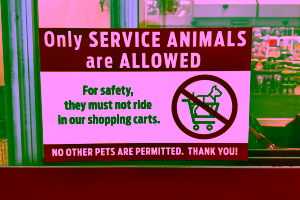Can I Bring My Dog Into HEB? H-E-B Service Animal Policy