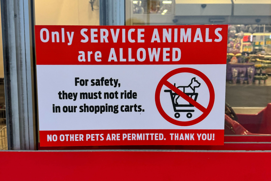 Can I Bring My Dog Into HEB? H-E-B Service Animal Policy