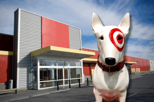 Can I Bring My Dog Into Target? Examining The Policy