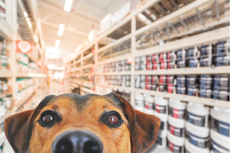 Can I Bring My Dog Into Lowe's?