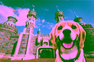 Can I Bring My Dog to Disney World? Cover