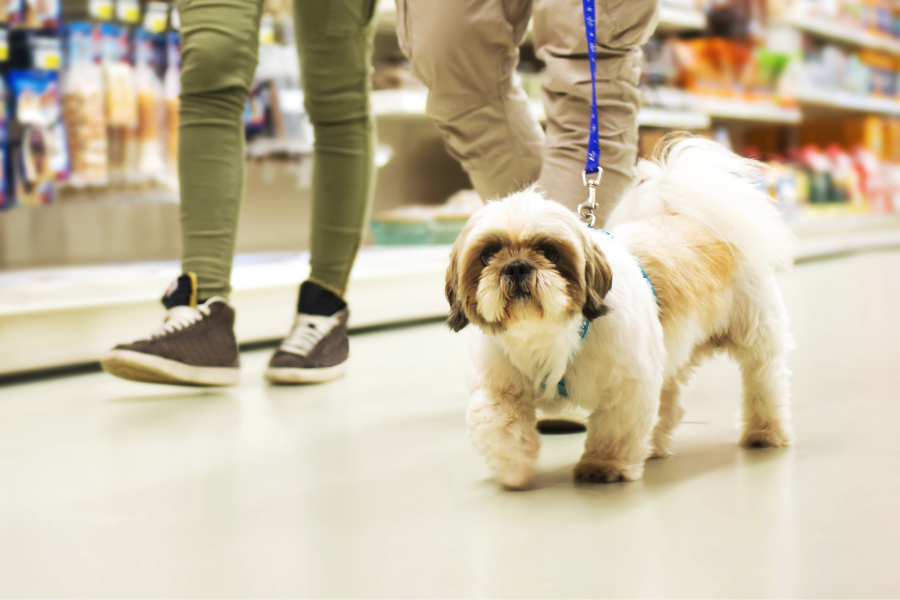 Can I bring my dog into Kroger?