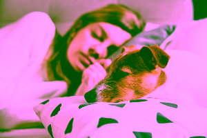 Depression Service Dogs Cover