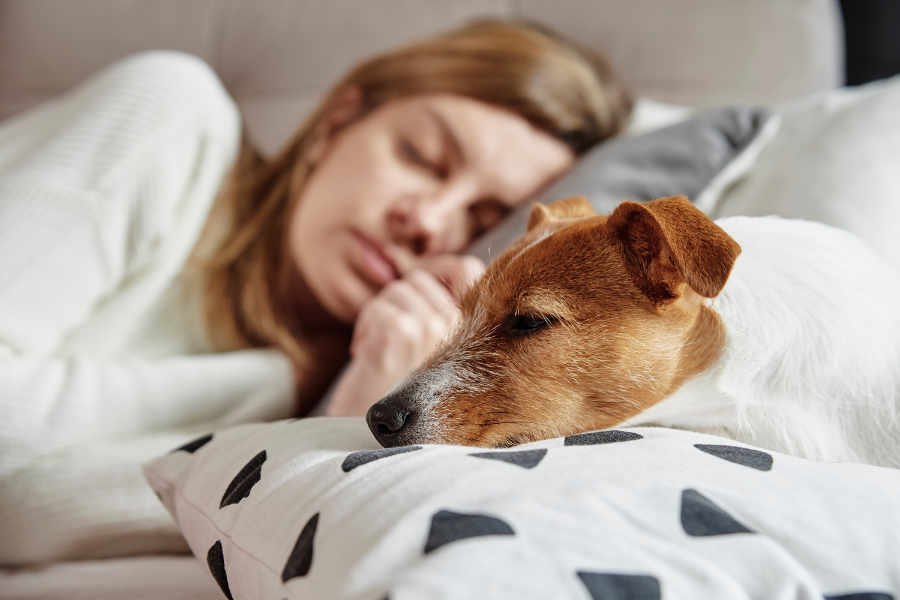 Depression Service Dogs: How They Help and How to Get One 11 Depression Service Dogs Cover