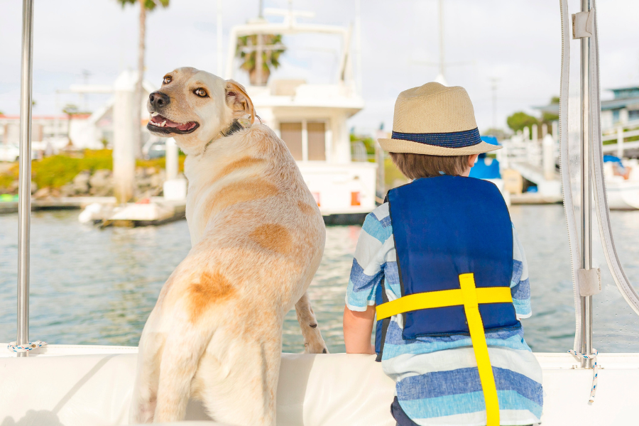 Dog-Friendly Cruise Ships Cover