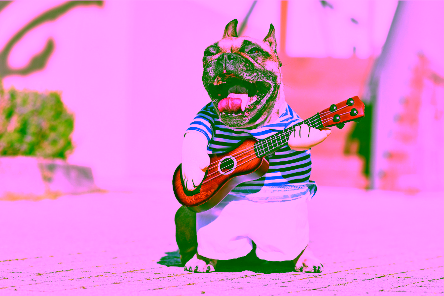 Finding Dog-Friendly Hotels for Your Next Visit to Nashville, Tennessee 5 Dog-Friendly Hotels in Nashville Cover