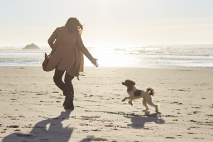 Dog-Friendly Hotels in Pensacola Cover