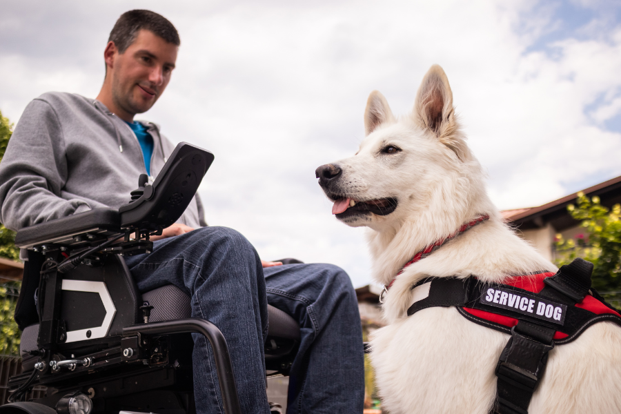 Good Service Dogs Cover, Good Dogs for Service Dogs
