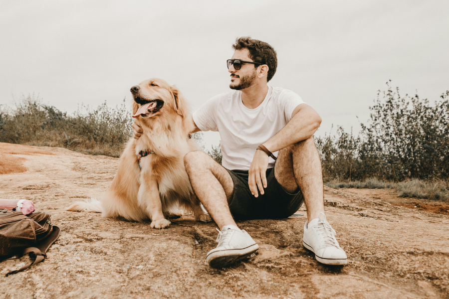 Hotels That Allow Pets in Palm Springs Cover