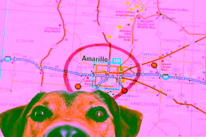 Hotels that Allow Pets in Amarillo Cover