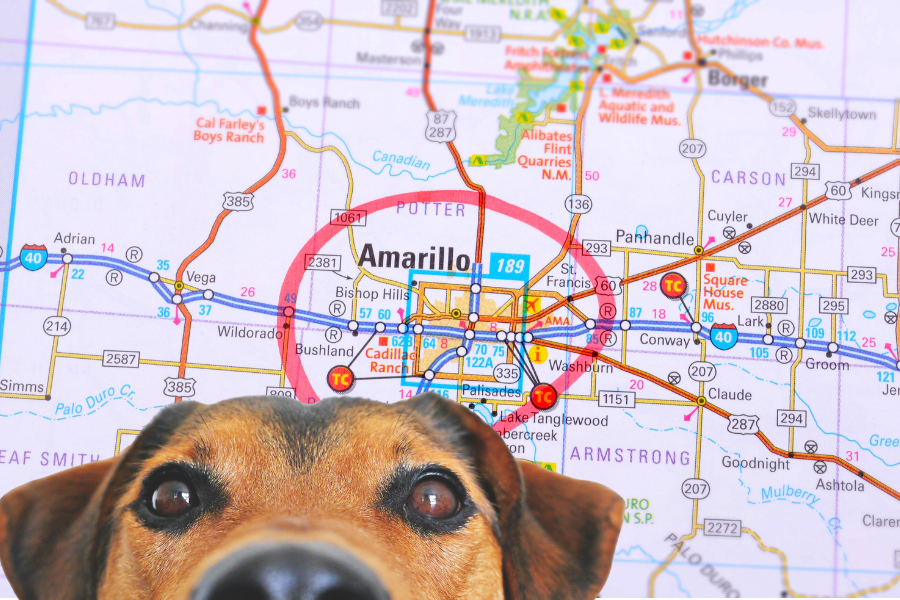Hotels that Allow Pets in Amarillo Cover