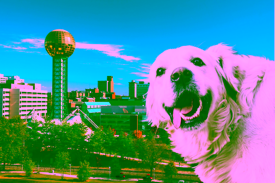 Top Hotels That Allow Pets in Knoxville, Tennessee 10 Hotels That Allow Pets in Knoxville Cover