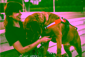 How Do I Get a Free Service Dog? Cover