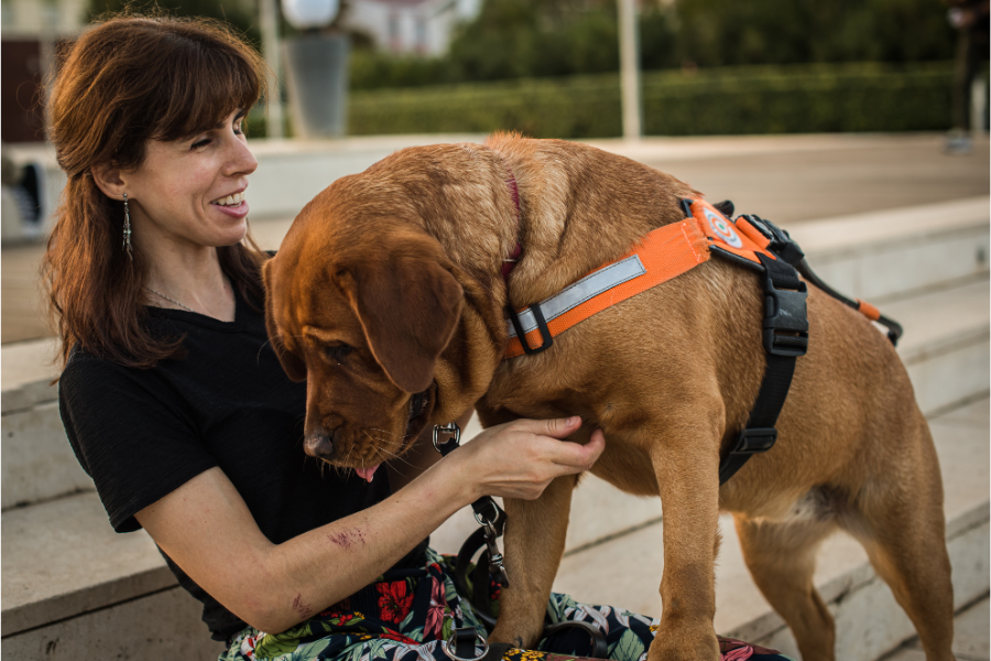 How Do I Get a Free Service Dog? Cover