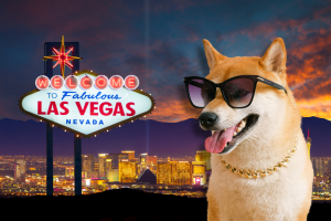 Pet-Friendly Hotels in Las Vegas Cover