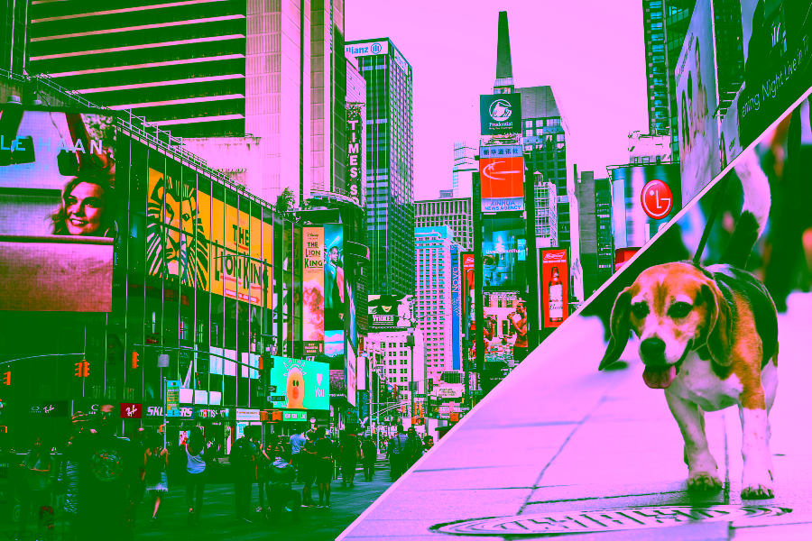 Finding the Best Pet-Friendly Hotels in New York City 13 Pet-Friendly Hotels in NYC Cover