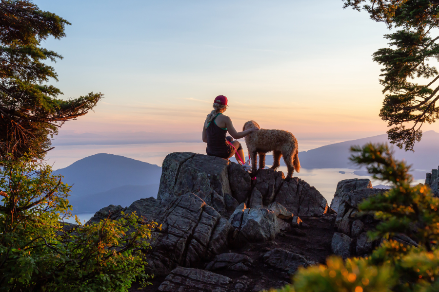 Pet-Friendly Hotels in Salt Lake City Cover