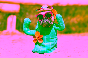 Taos Hotels that Are Pet-Friendly Cover