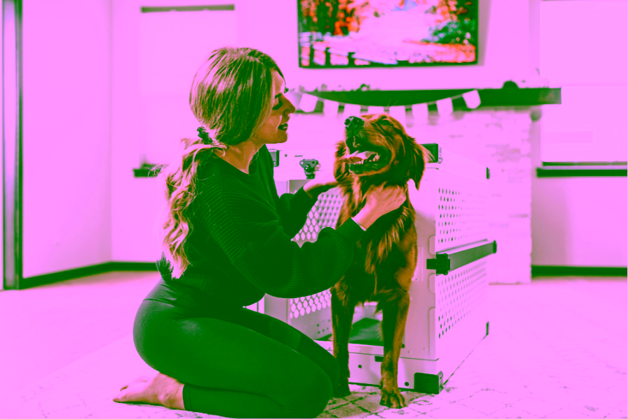 How long does potty training a puppy take?