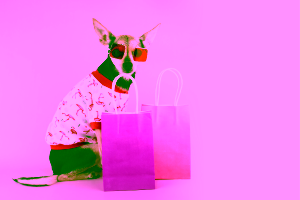 What are the best emotional support animal products to buy? Cover