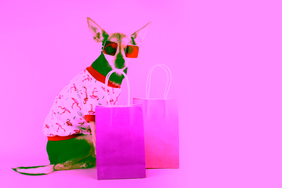 Shopping for Your Furry Friend: What Are the Best Emotional Support Animal Products to Buy? 30 What are the best emotional support animal products to buy? Cover
