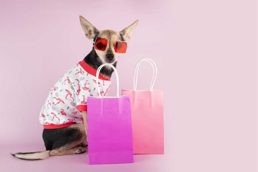 What are the best emotional support animal products to buy? Cover