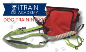 iTrain Academy Dog Training Kit