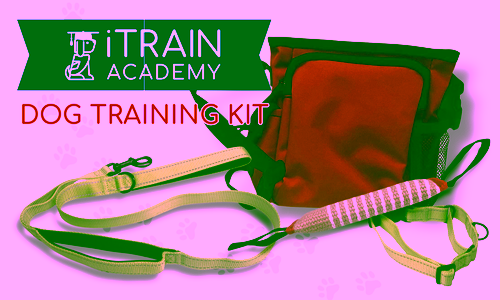 iTrain Academy Dog Training Kit