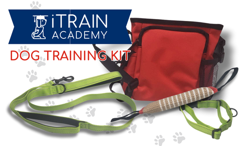 iTrain Academy Dog Training Kit