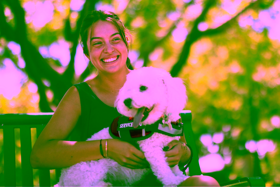 What Are My Rights as a Handler of a Psychiatric Service Animal? Your Questions Answered 11 What Are My Rights as a Handler of a Psychiatric Service Animal?
