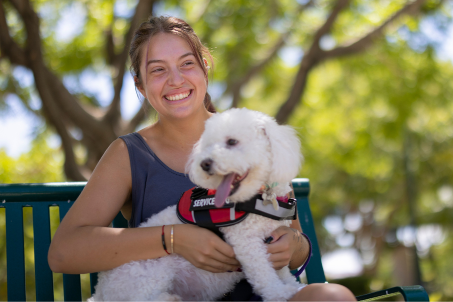 What Are My Rights as a Handler of a Psychiatric Service Animal? Your Questions Answered 2 What Are My Rights as a Handler of a Psychiatric Service Animal?