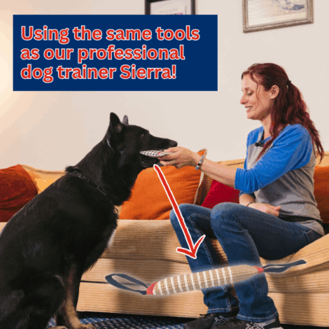 iTrain Academy Dog Training Kit - Image 3