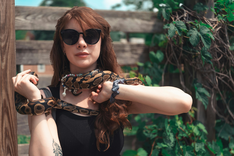 Emotional Support Snake