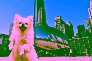 Get an ESA Letter in Chicago