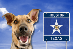 Get an ESA Letter in Houston