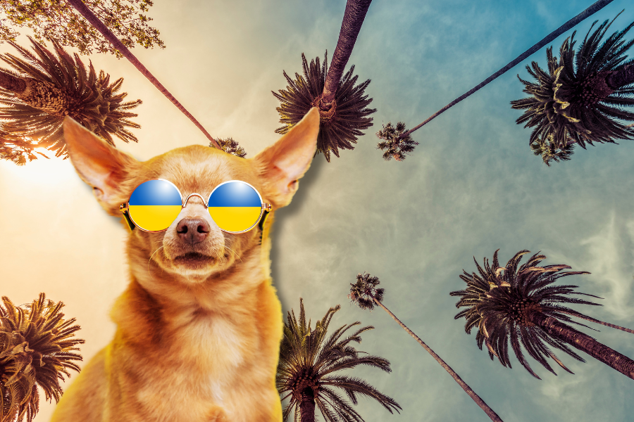 Get an ESA Letter in Los Angeles