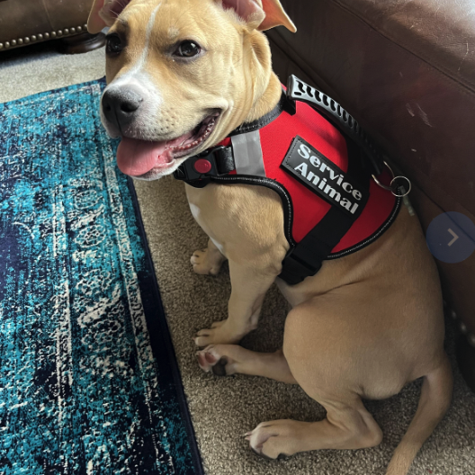 Reviewer Karissa | ESA & Service Animal Products