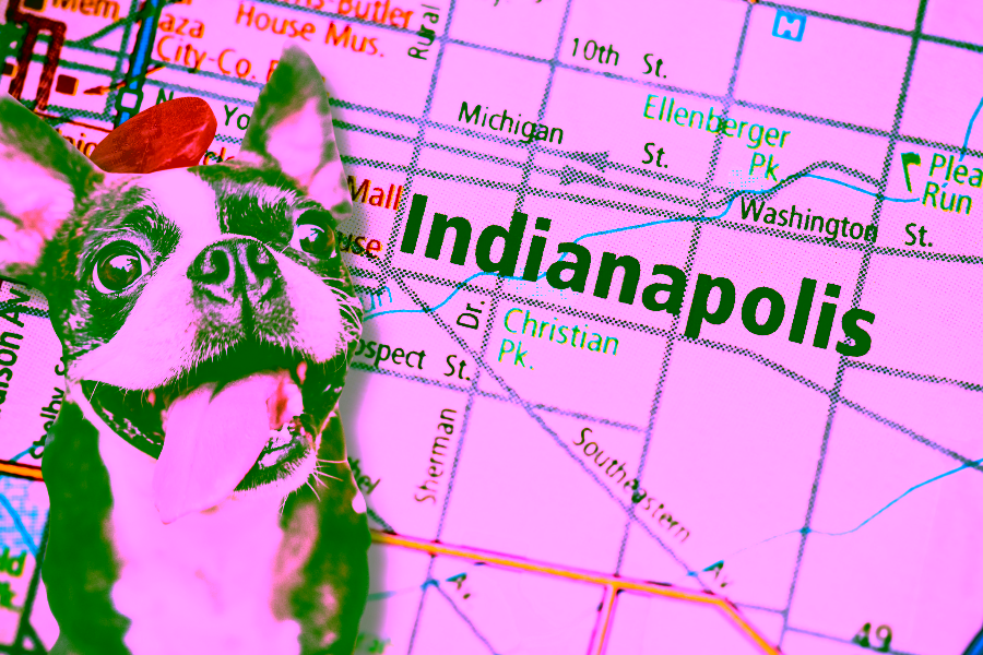 Get an ESA Letter in Indianapolis with American Service Pets